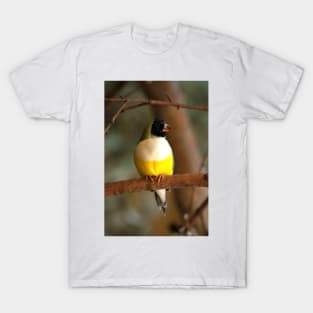 Gouldian Finch T-Shirt